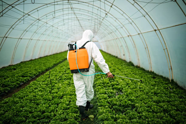 Best Residential Pest Control  in Watervliet, MI