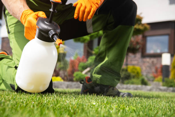 Best Termite Control Services  in Watervliet, MI