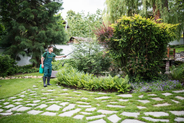 Best Insect Control  in Watervliet, MI