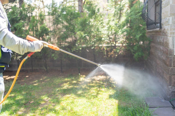 Best Residential Pest Control  in Watervliet, MI