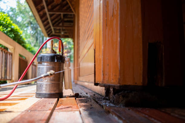 Best Affordable Pest Control Services  in Watervliet, MI