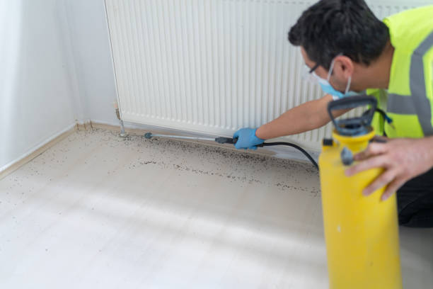 Best Exterminator Services  in Watervliet, MI