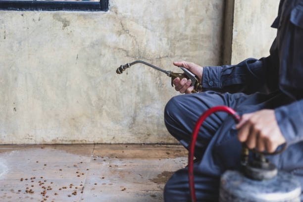 Best Pest Control Near Me  in Watervliet, MI