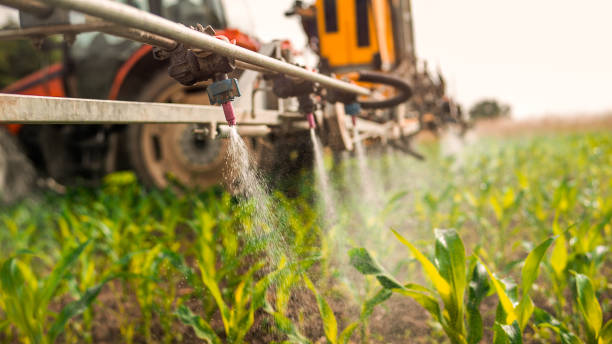 Reliable Watervliet, MI Pest Control Solutions