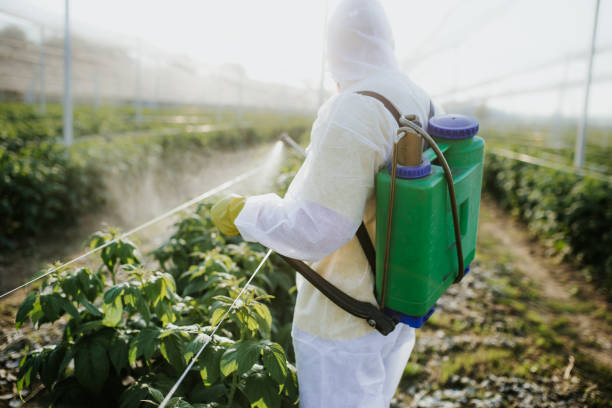 Best Commercial Pest Control Services  in Watervliet, MI
